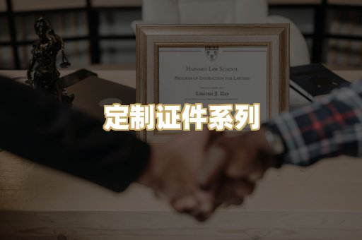 定制证件系列